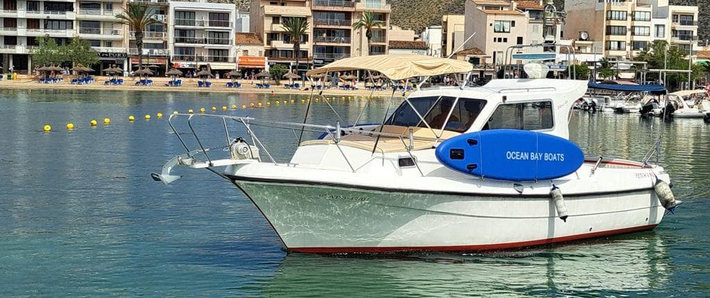 Charter con patrón